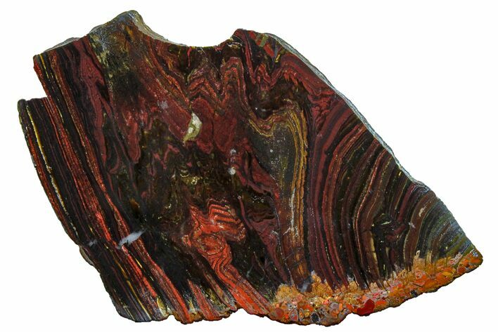 Polished Tiger Iron Stromatolite Slab - Billion Years #162006